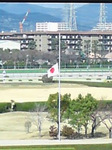 2023阪神競馬半旗.JPG